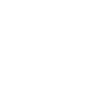 footerLogoImg